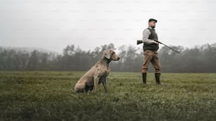 A hunter man with dog in traditional shooting clothes on field holding shotgun.