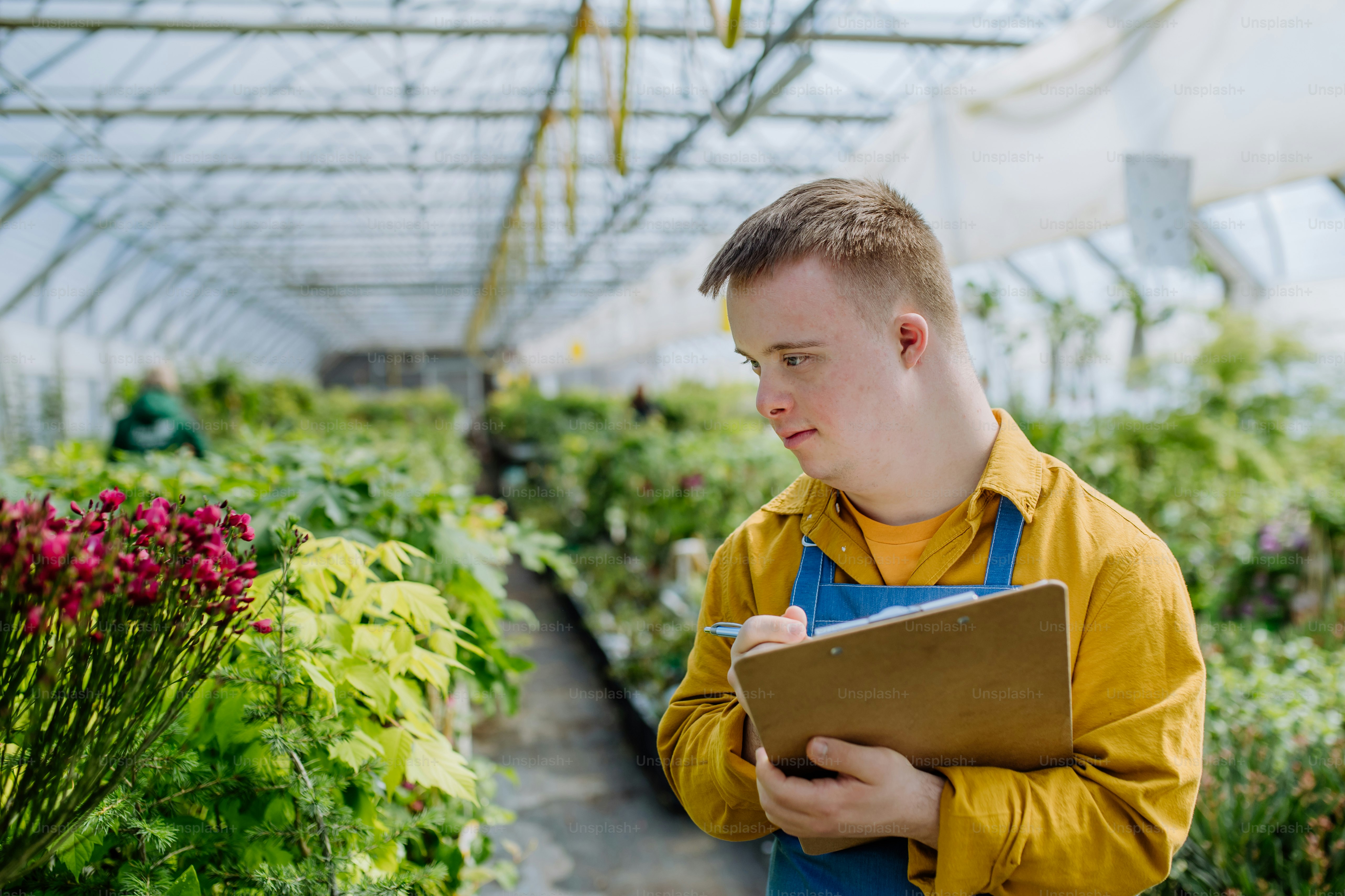 A young man with Down syndrome working in garden centre, holidng clipboard and checking plants