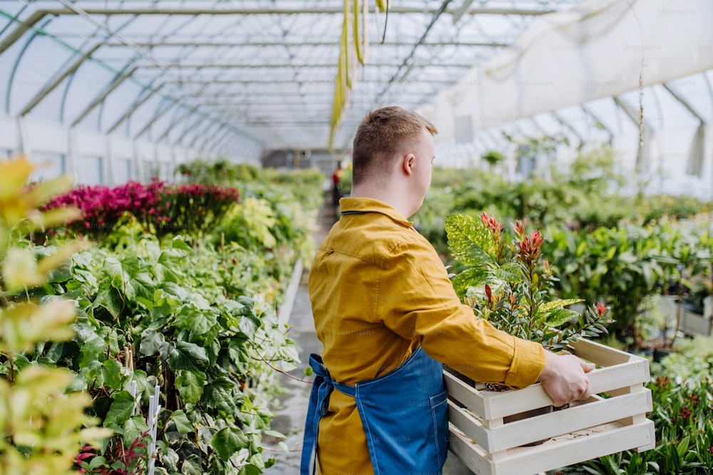 Um jovem com síndrome de Down trabalhando em um centro de jardinagem, carregando caixa com plantas.