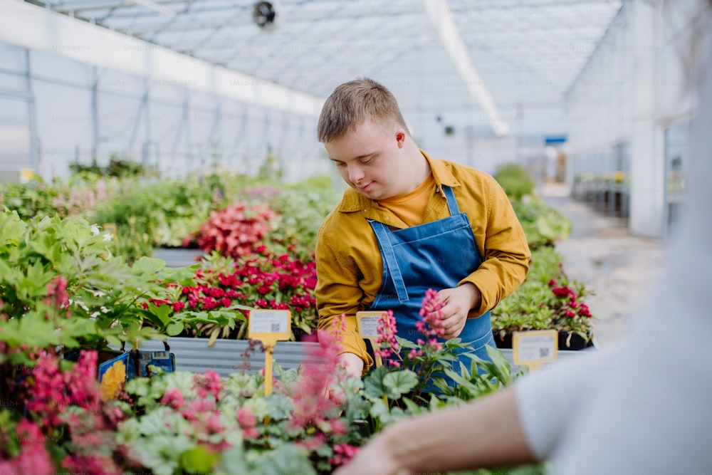 Un joven empleado feliz con síndrome de Down que trabaja en un centro de jardinería, cuidando flores.