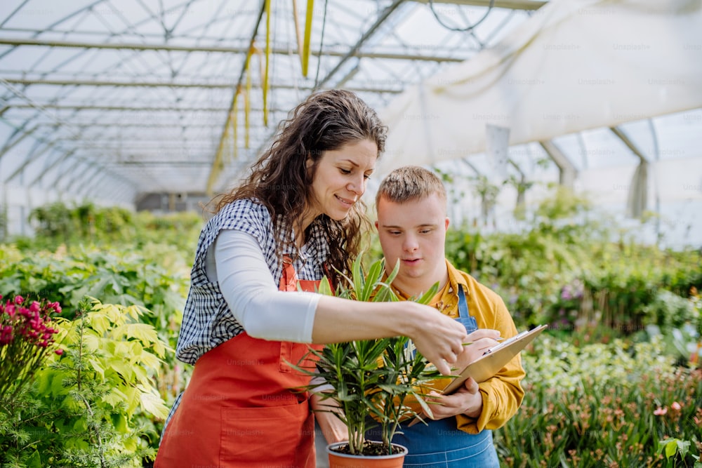 Una fiorista donna esperta che aiuta un giovane dipendente con sindrome di Down a controllare i fiori su un tablet in un centro di giardinaggio.
