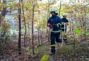 Des pompiers à l’action, courant dans la fumée avec des pelles pour arrêter le feu dans la forêt.