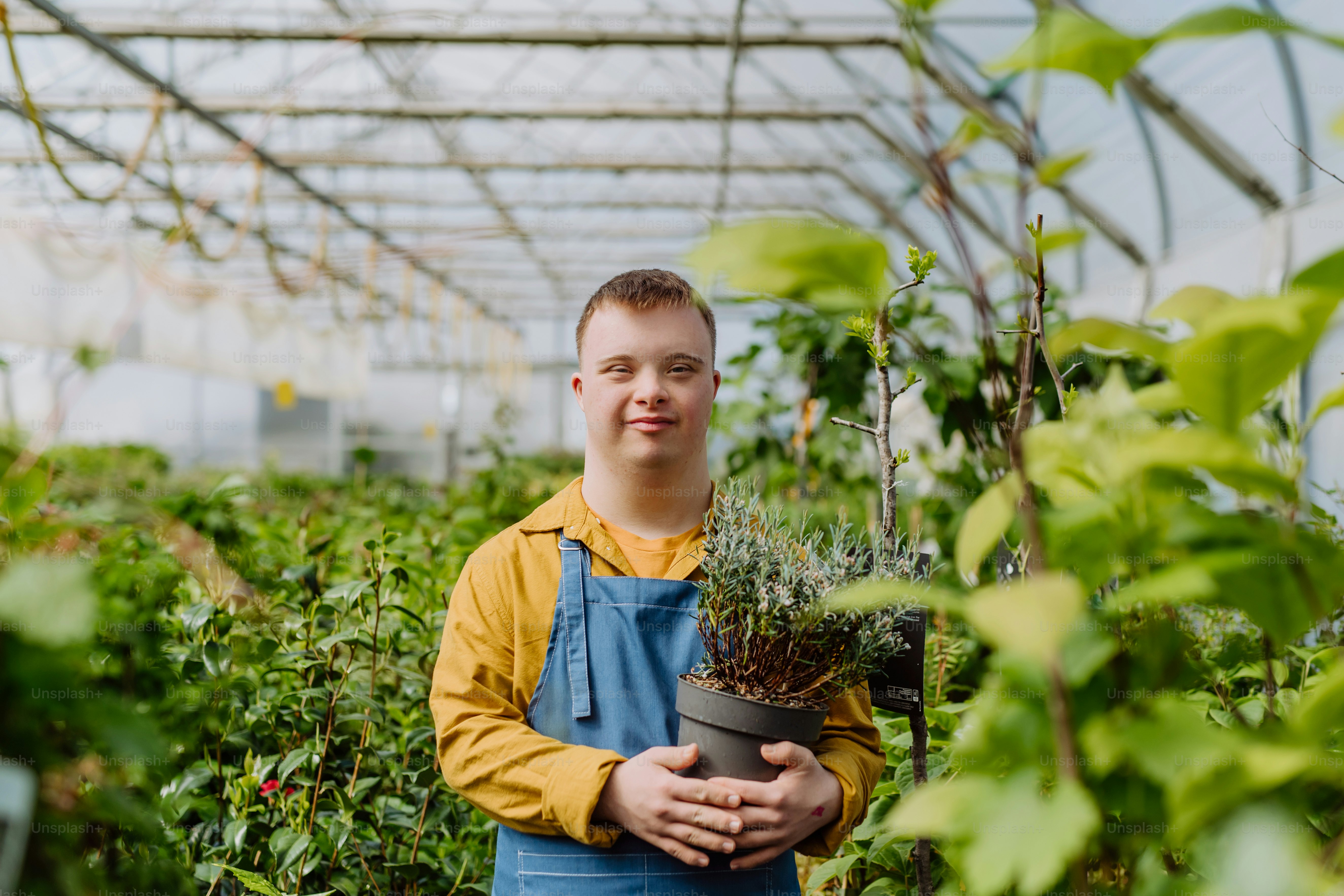 A happy young employee with Down syndrome working in garden centre, taking care of flowers