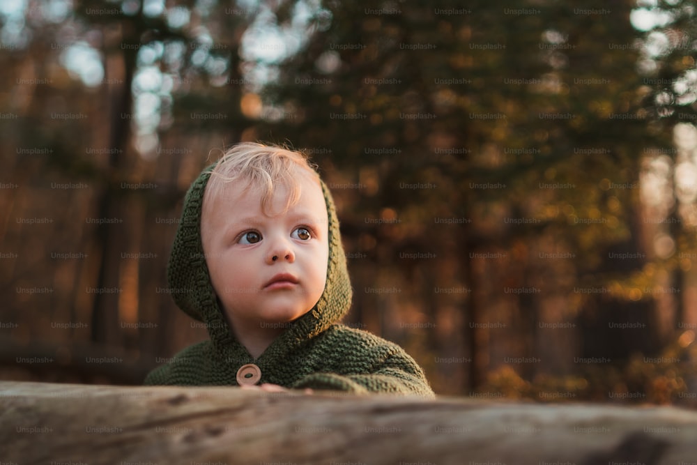 Baby Boy Outdoor Herbstporträt. Kind hat Spaß in roten und gelben Herbstblättern im Garten