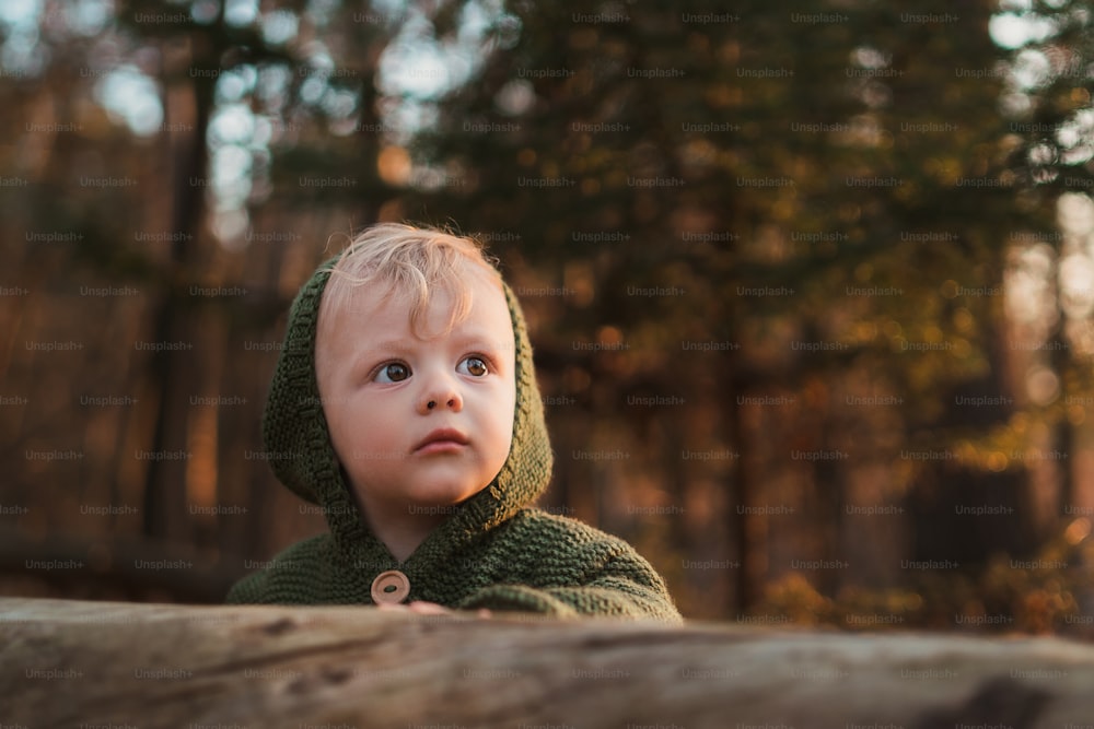 baby boy outdoor autumn portrait. child having fun in red and yellow fall leaves in garden