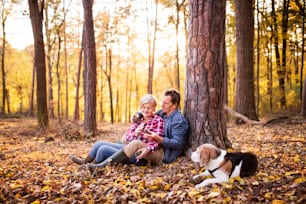 Active senior couple with dog on a walk in a beautiful autumn forest.