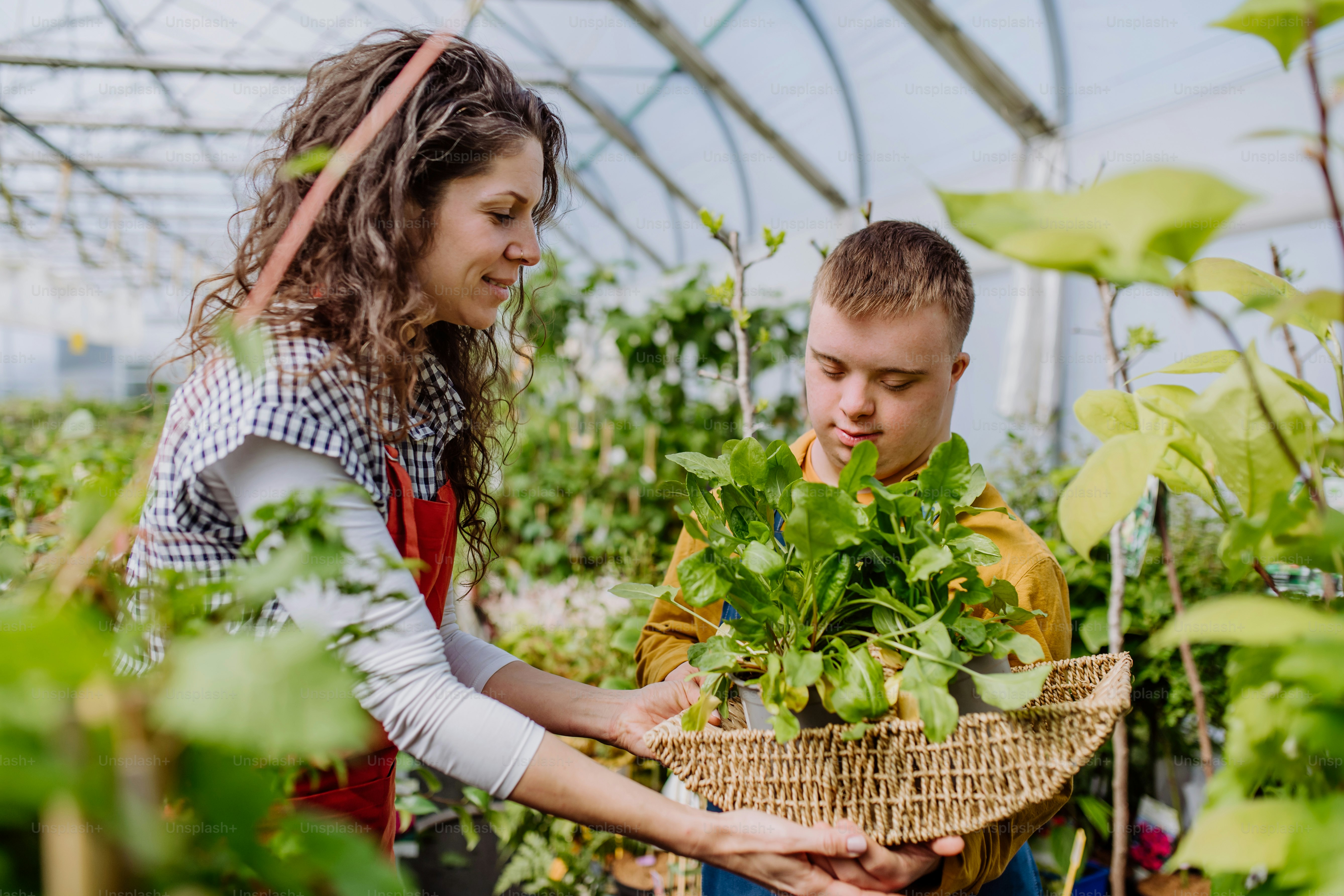 An experienced woman florist helping young employee with Down syndrome in garden centre