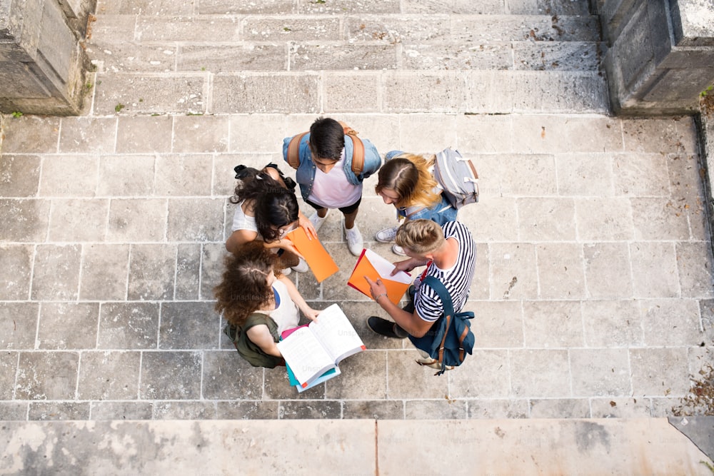 Gruppo di attraenti studenti adolescenti sui gradini di pietra di fronte all'università.