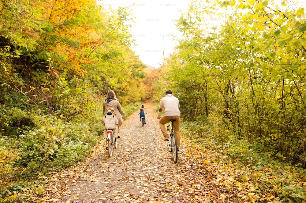 Hermosa familia joven con tres hijos con ropa de abrigo que andan en bicicleta al aire libre en la naturaleza otoñal. Vista trasera.
