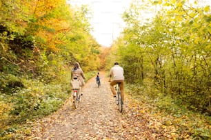 Beautiful young family with three sons in warm clothes cycling outside in autumn nature. Rear view.