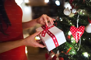 Giovane donna irriconoscibile in abito rosso davanti all'albero di Natale illuminato all'interno della sua casa che tiene il regalo di Natale.