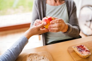 Unrecognizable health visitor and a senior woman during home visit. A nurse giving an apple to an elderly woman sitting at the table. Close up.