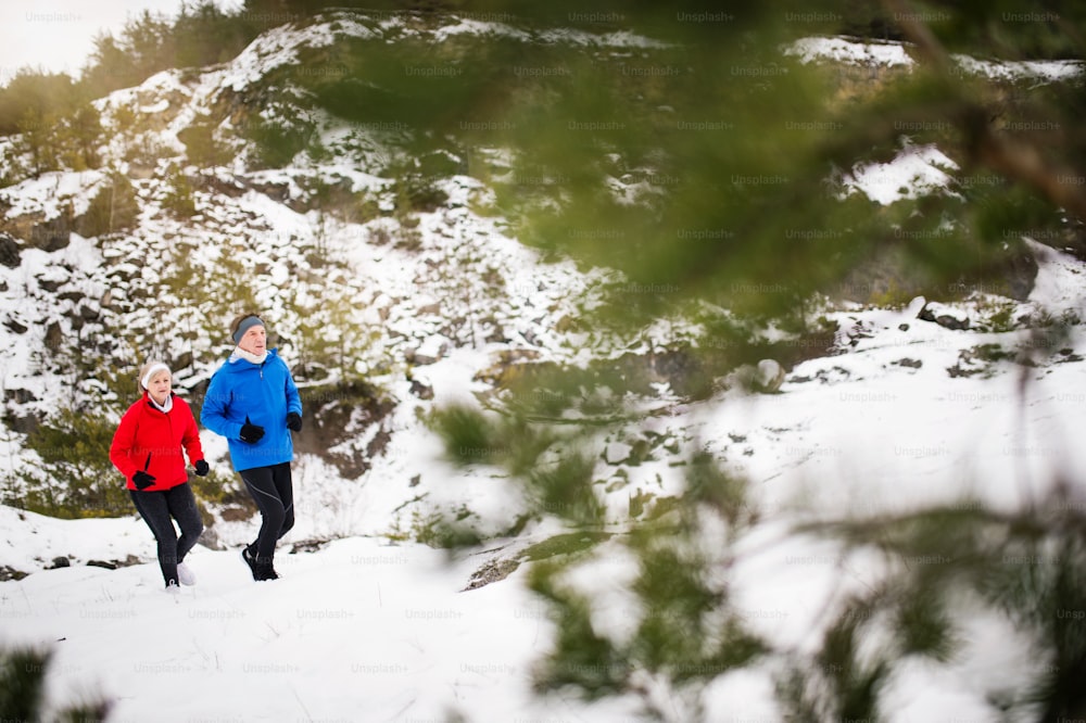 冬の自然の中で外をジョギングする老夫婦。