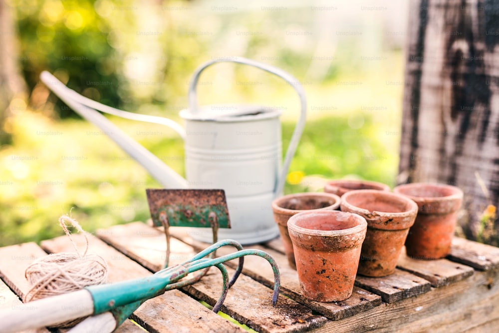 Close up of garden tools in the garden. Hoe, cultivator, watering can and flower pots on the wooden table.