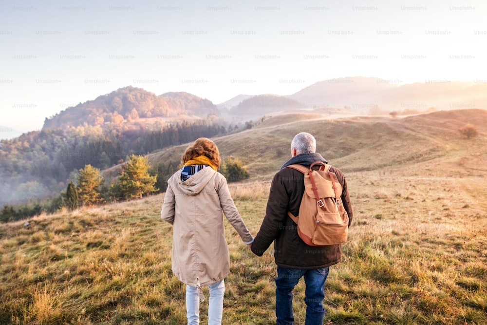 Casal idoso ativo em uma caminhada em uma bela natureza de outono, de mãos dadas. Vista traseira.