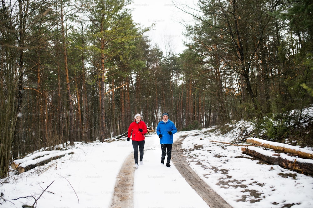 冬の自然の中で外でジョギングするシニアカップル。