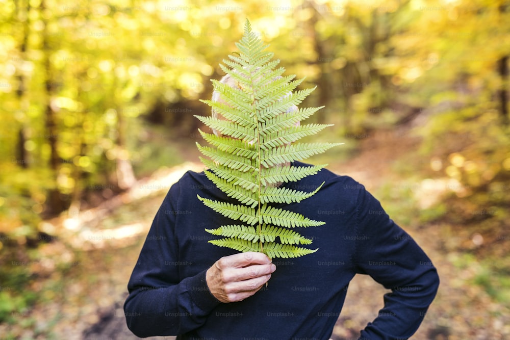 Active senior man on a walk in a beautiful autumn nature, covering his face with fern.
