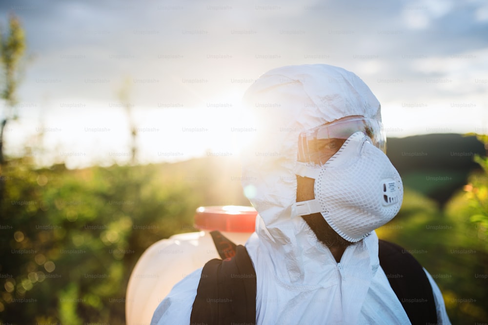 Un agricoltore in tuta protettiva che cammina all'aperto nel frutteto al tramonto, usando prodotti chimici antiparassitari.