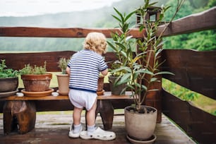 Eine Rückansicht eines Kleinkindes, das im Sommer draußen auf einer Terrasse steht.