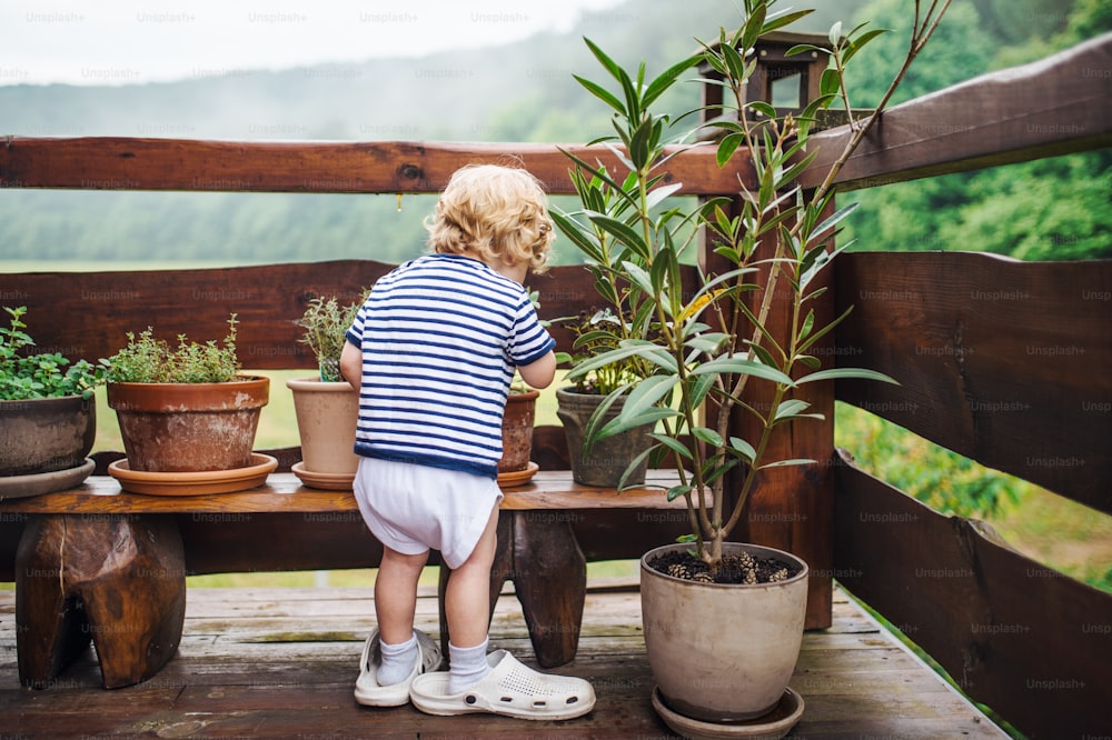A rear view of toddler boy standing outdoors on a terrace in summer.