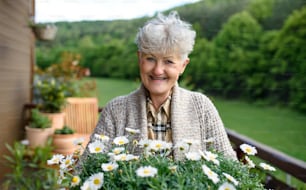 Porträt einer älteren Frau, die im Sommer auf dem Balkon gärtnert und blühende Pflanzen hält.