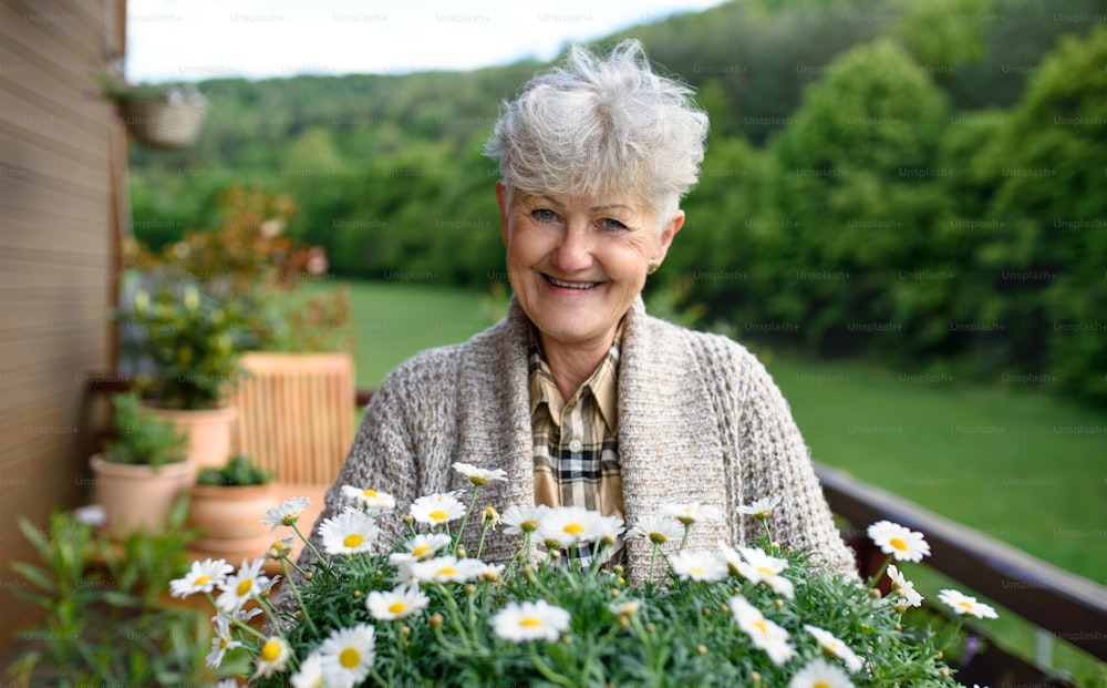 Retrato de una mujer mayor que trabaja en el jardín en el balcón en verano, sosteniendo plantas con flores.