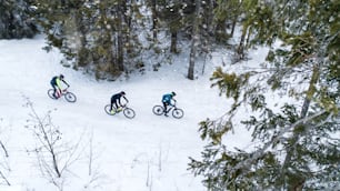 Aerial view of mountain bikers riding on road covered by snow in forest outdoors in winter.