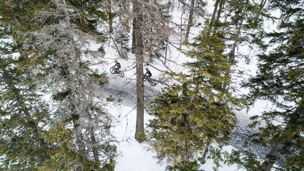 冬の屋外の森の雪に覆われた道路を走る2人のマウンテンバイカーの空撮。