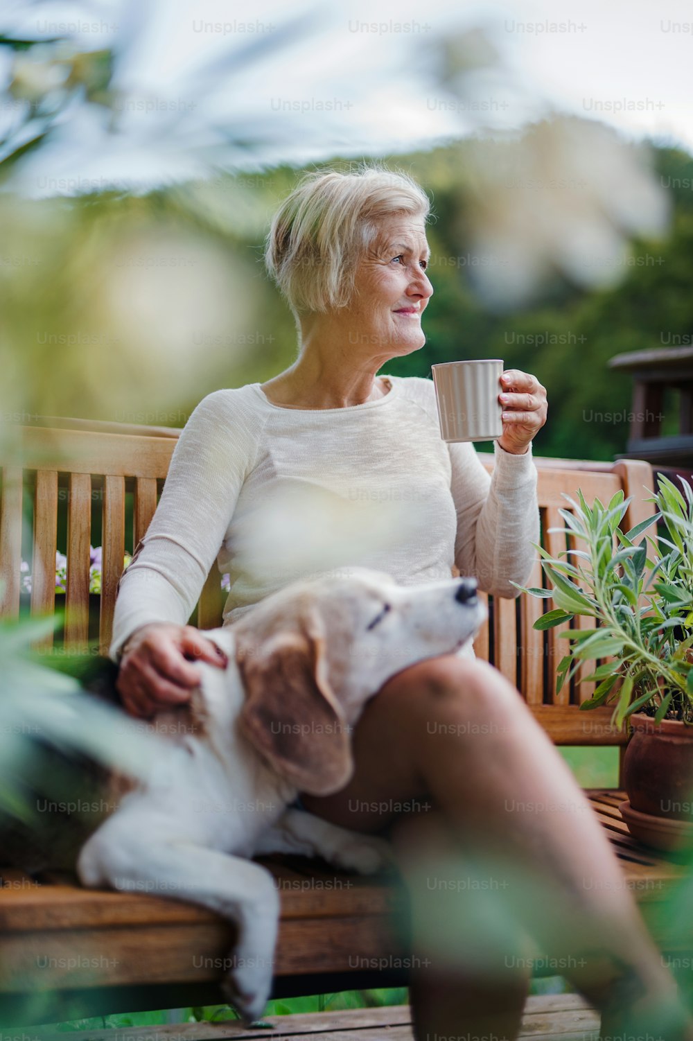 Una donna anziana con un cane e un caffè seduta all'aperto su una terrazza in una giornata di sole in estate.