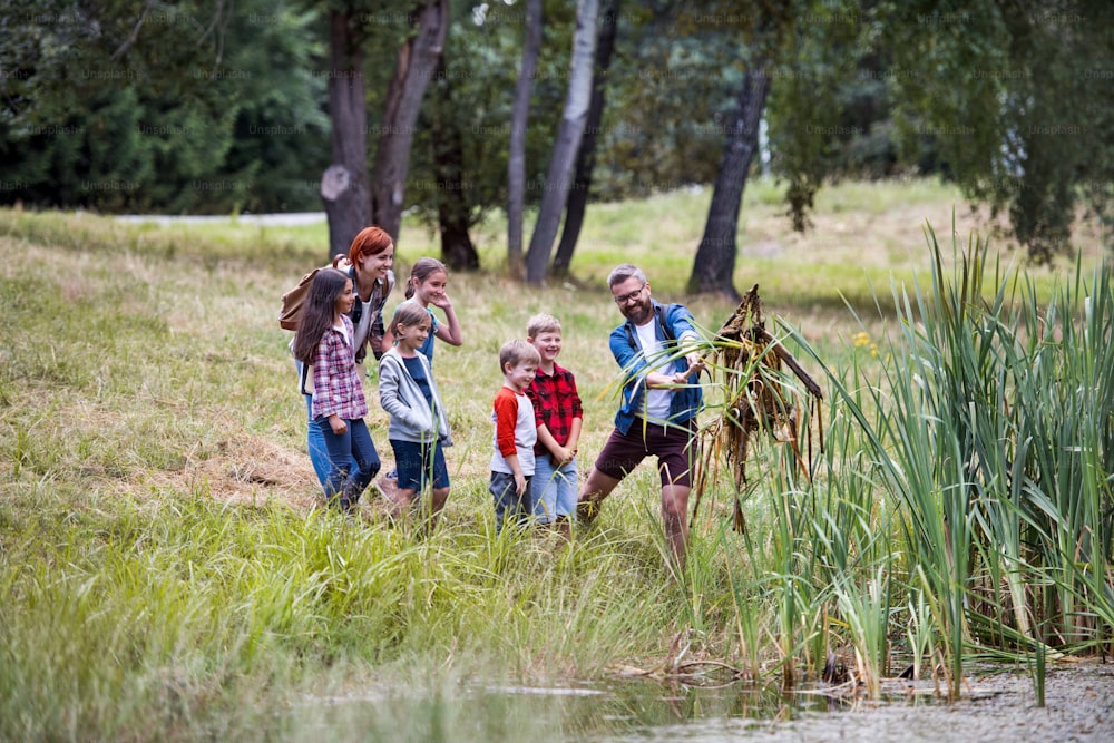 Um grupo de crianças pequenas em idade escolar com professor em viagem de campo na natureza.
