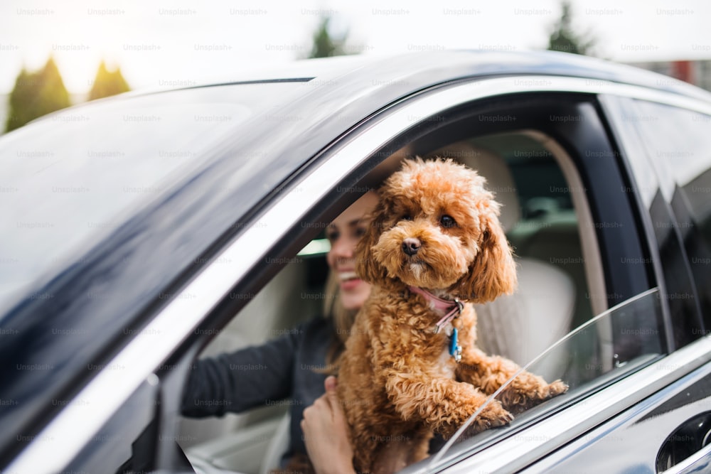 Una giovane donna alla guida con un cane seduto in auto, alla guida.