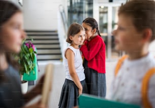 Un grupo de alegres niños de escuela pequeña en el pasillo, de pie y hablando. Concepto de vuelta al cole.