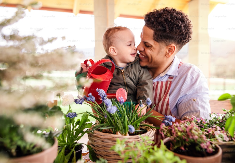 Hispanic father and small toddler son indoors at home, watering flowers.