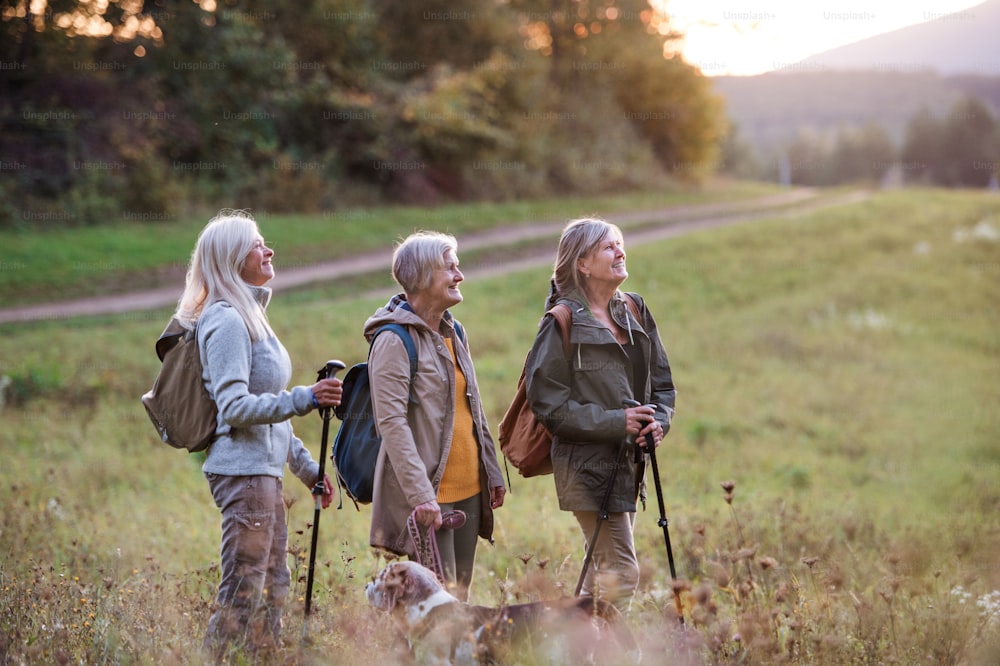 Senior women friends with dog on walk outdoors in nature, standing.