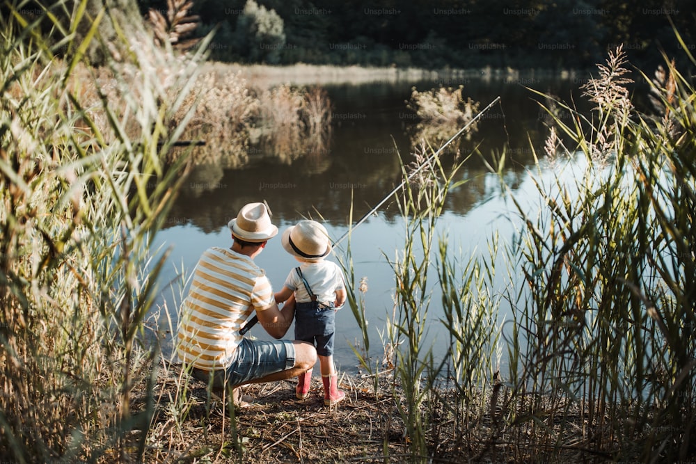 Une vue arrière d’un père mûr avec un petit fils en bas âge pêchant à l’extérieur au bord d’une rivière ou d’un lac.