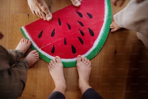 A top view of bare feet of family standing on large toy fruit indoors at home.