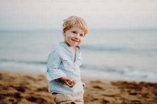A portrait of cheerful small toddler boy standing on beach on summer holiday.