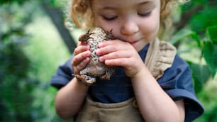 Close up portrait of happy small girl holding a frog outdoors in summer.
