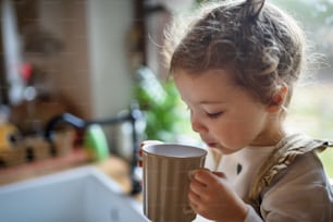 Cute small toddler girl sitting on kitchen counter indoors at home, drinking tea. Copy space.