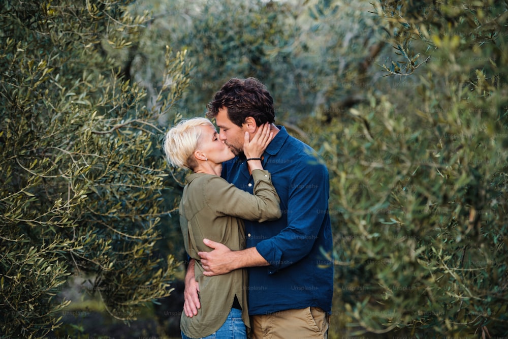 Um jovem casal afetuoso de pé ao ar livre em pomar de oliveiras, beijando-se.