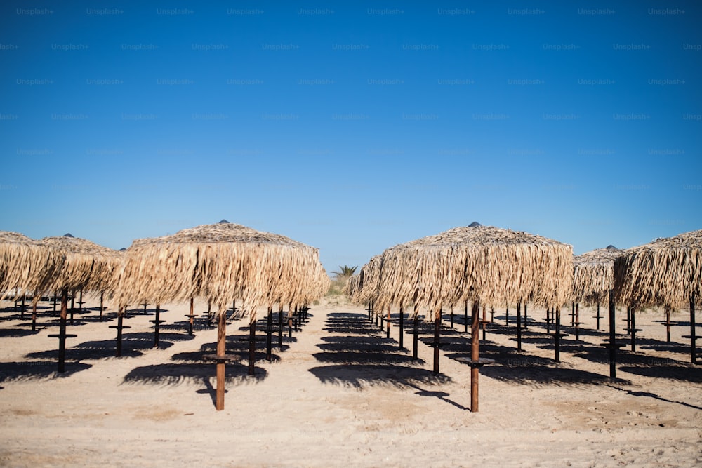 Rows of straw parasols outdoors on beach background. Copy space.