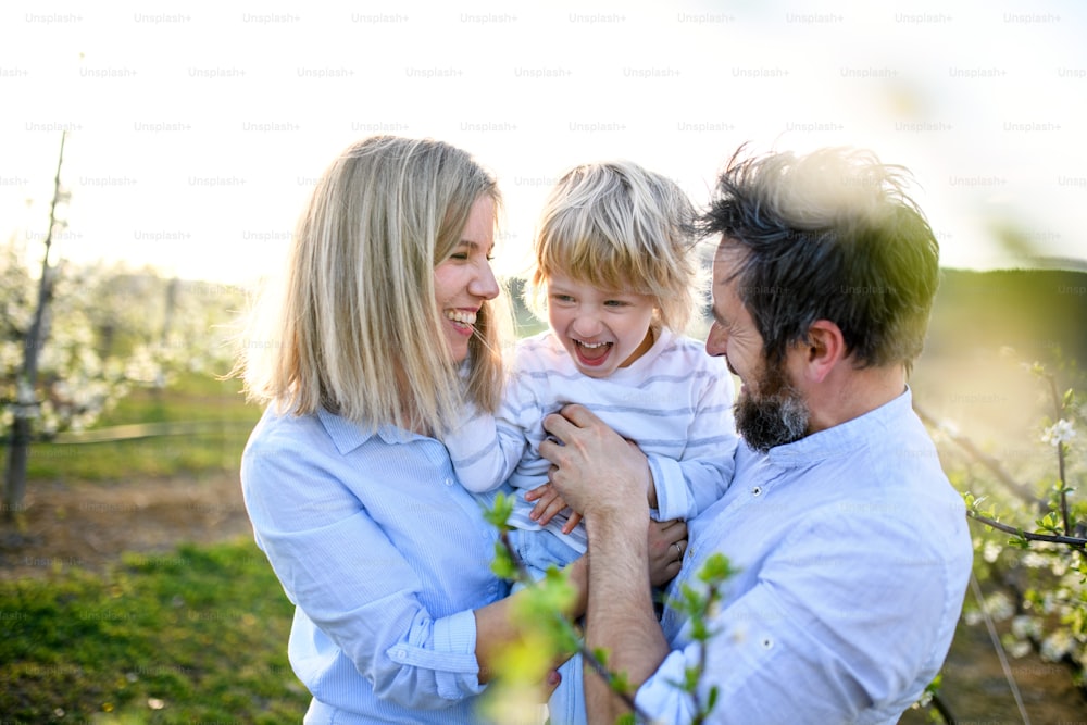 Vista frontale della famiglia con il figlio piccolo in piedi all'aperto nel frutteto in primavera, ridendo.