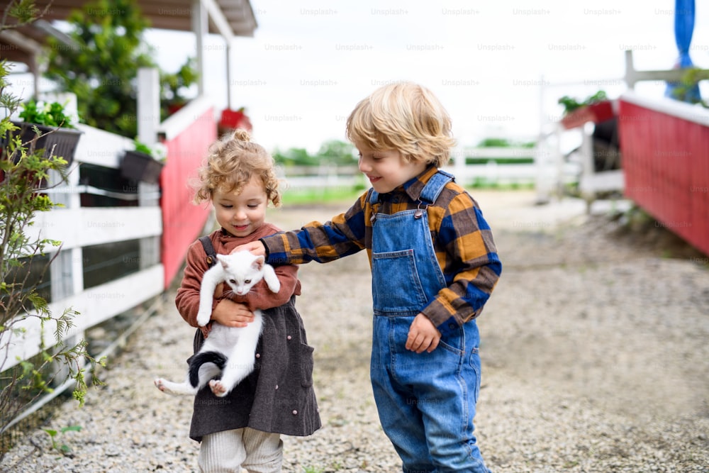 かわいい小さな女の子と男の子の肖像画は、猫を抱いて、農場に立っています。