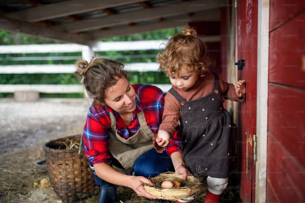 Ritratto di madre con piccola figlia felice in piedi sulla fattoria, tenendo cesto con uova.