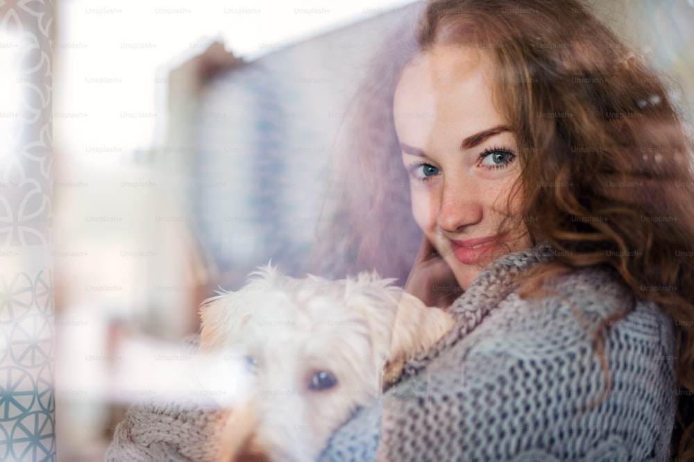 Mujer joven relajándose en el interior de la casa con un perro mascota. Disparo a través del vidrio.