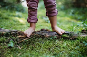 Bare feet of small child standing barefoot outdoors in nature, grounding and forest bathing concept.