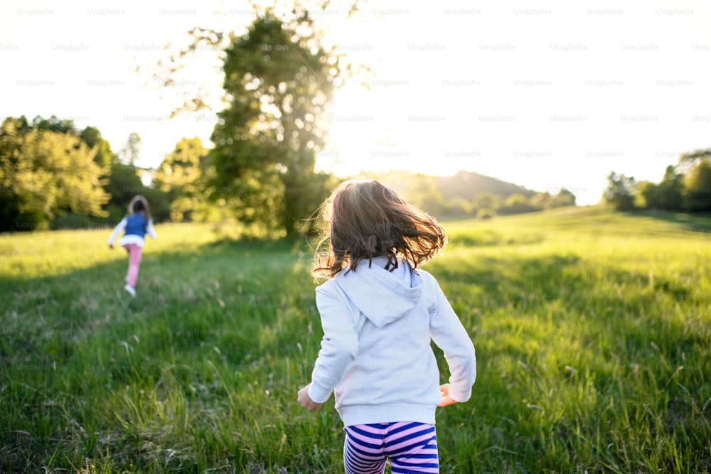 Rear view of two cheerful small girls running outdoors in spring nature.