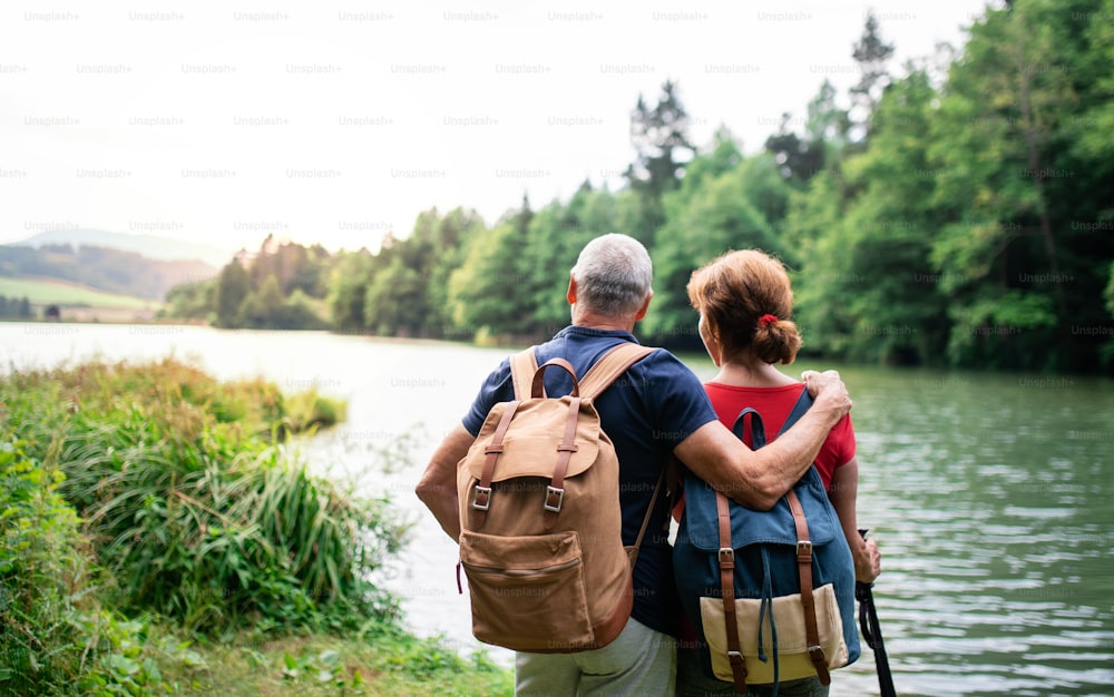 A rear view of senior tourist couple on a walk in nature, standing by lake. Copy space.