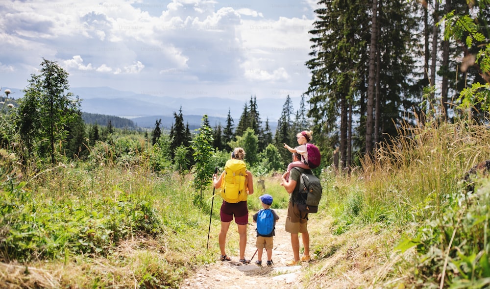 小さな子供連れの家族が夏の自然の中で屋外でハイキングし、話している後ろ姿。
