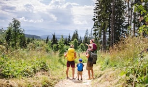 Rear view of family with small children hiking outdoors in summer nature, talking.